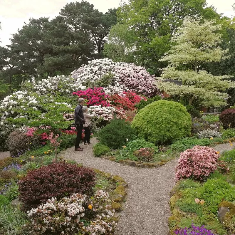 Lea Gardens Ltd