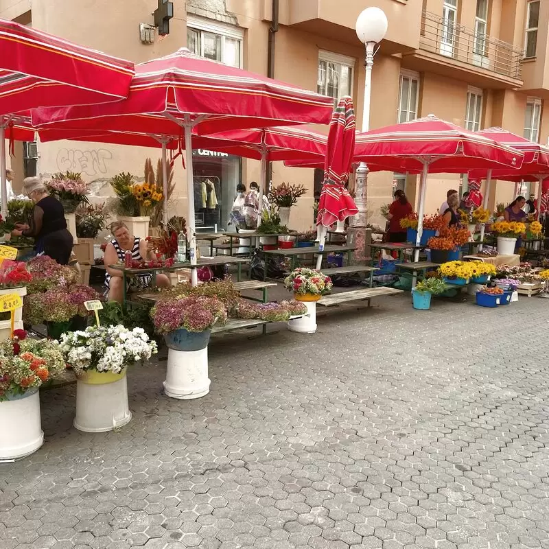 Market Dolac