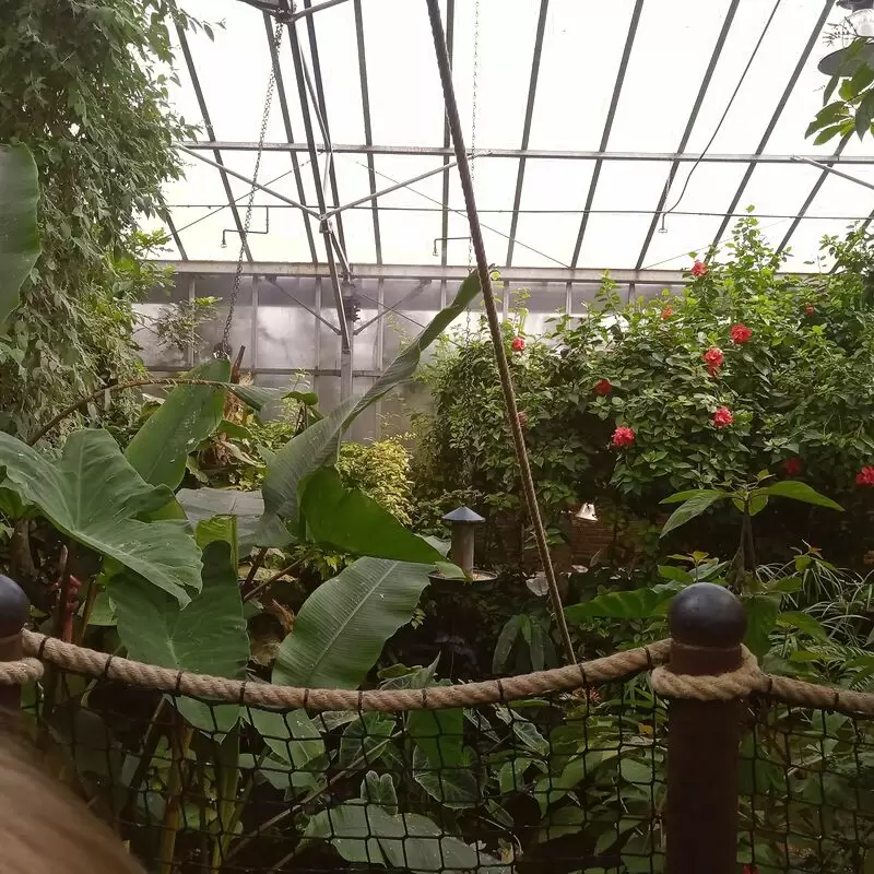 Tropical Butterfly House Wildlife Conservation Park
