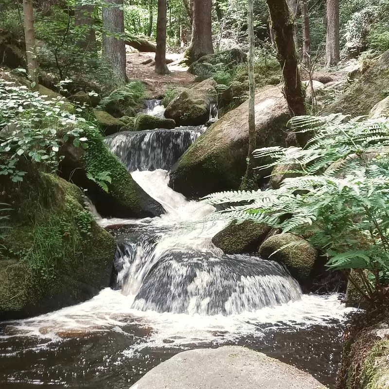 Wyming Brook Nature Reserve