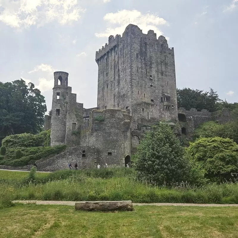 Blarney Castle & Gardens Gairdíní Chaisleán na Blarnan)