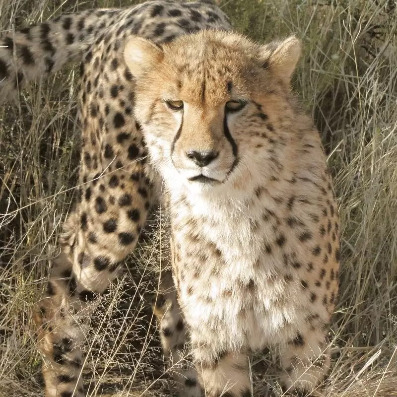 N a'an ku sê Wildlife Sanctuary