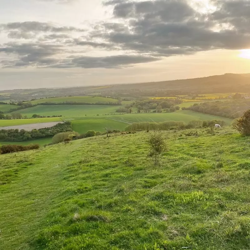 Old Winchester Hill