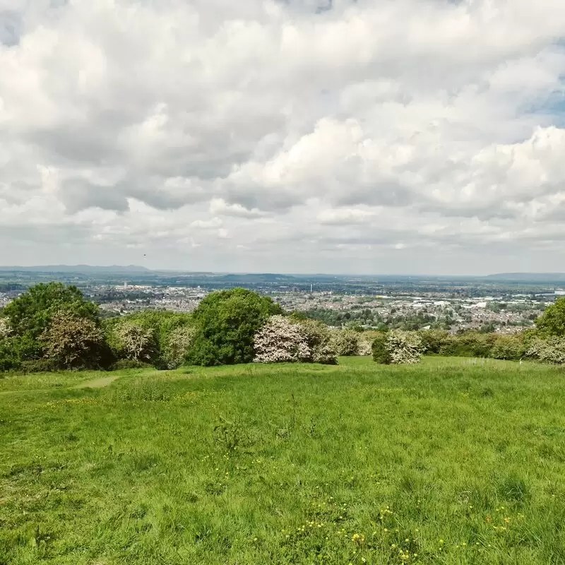 Summit of Robinswood Hill