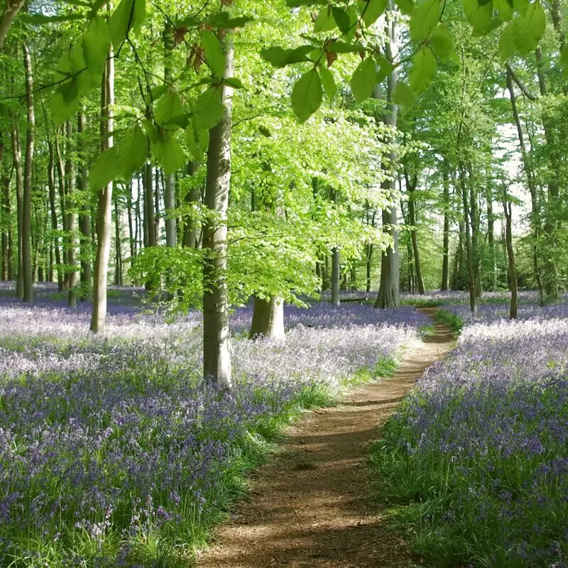 Coton Manor Garden