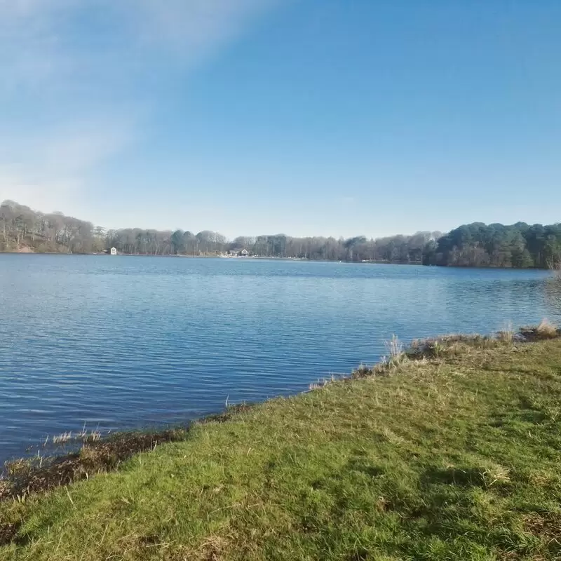 Talkin Tarn Country Park